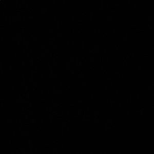 Meet your Posher, Dannie